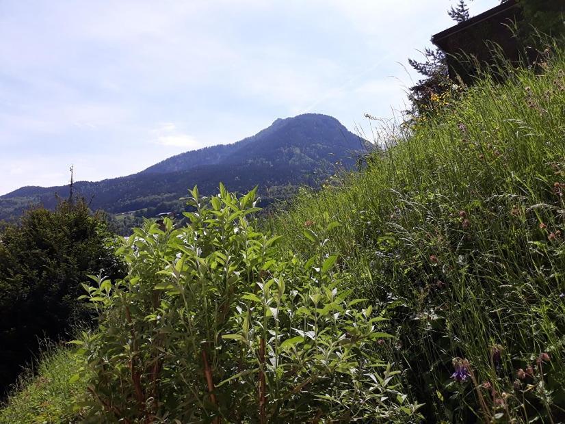 Ferienwohnung Fendt Berchtesgaden Dış mekan fotoğraf